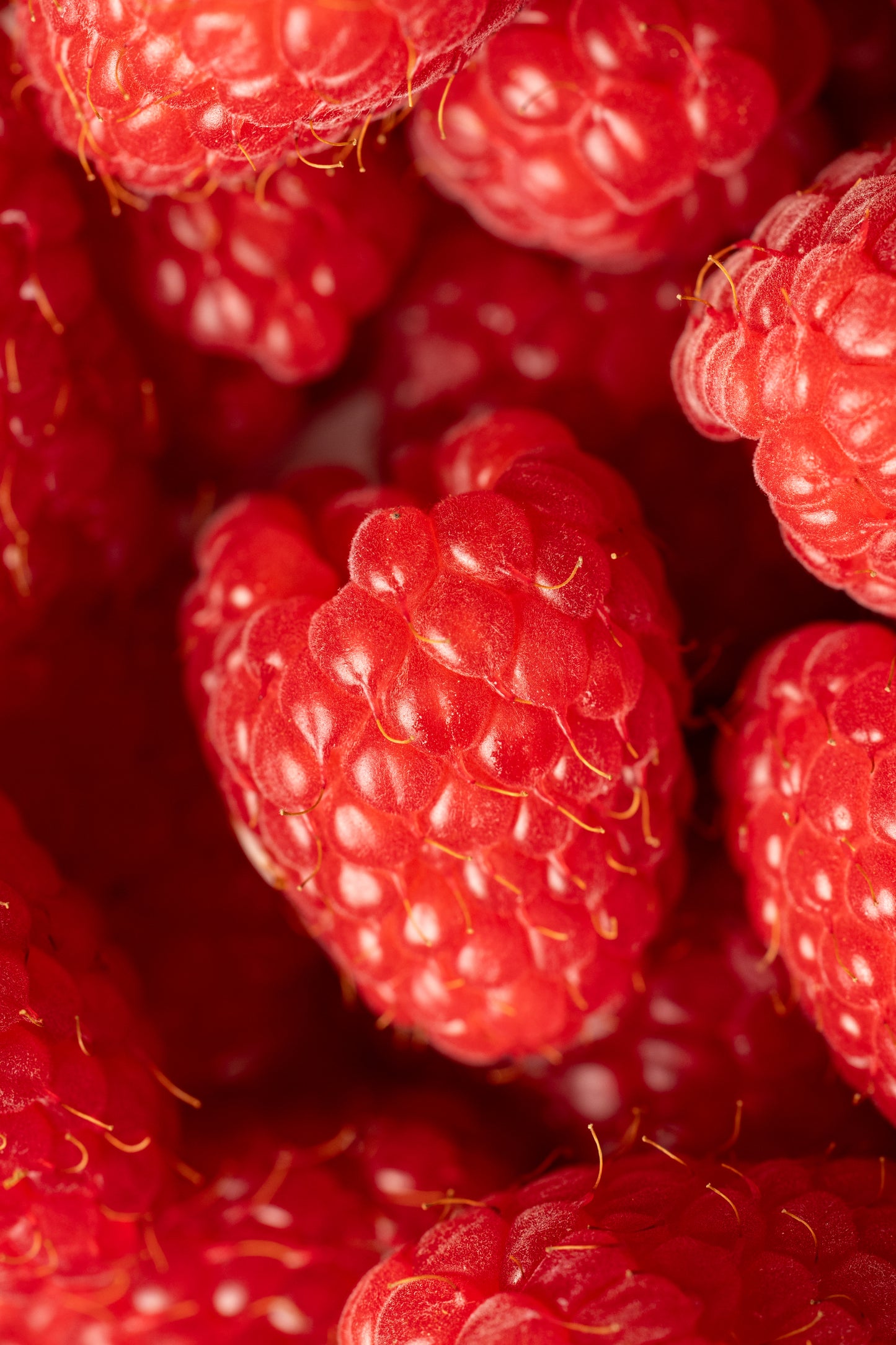 Fisbruler Raspberry